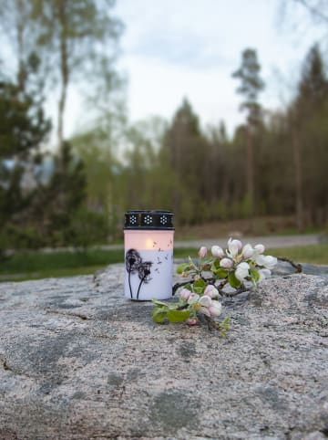 STAR Trading Znicz LED "Dandelion" w kolorze białym