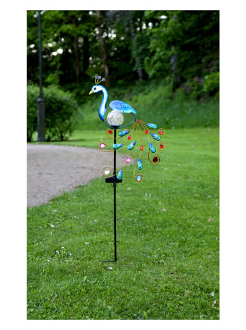 STAR Trading Ledsolartuinsteker "Peacock" blauw/meerkleurig - (H)80 cm