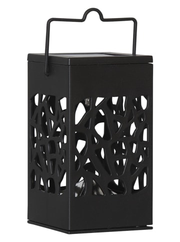 STAR Trading 3er-Set: LED-Solar-Laternen "Izola" in Schwarz - (B)6 x (H)11 x (T)6 cm