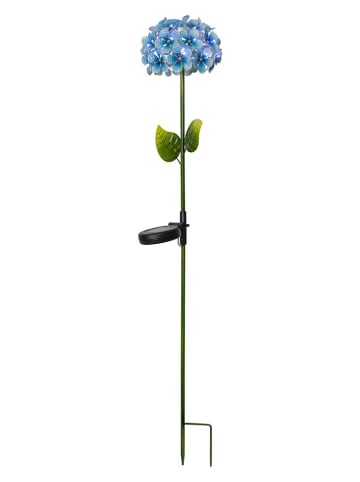 STAR Trading LED-Solar-Gartenstecker "Hortensia" in Blau - (H)77 cm