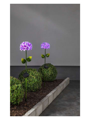 STAR Trading LED-Solar-Gartenstecker "Hortensia" in Violett - (H)77 cm