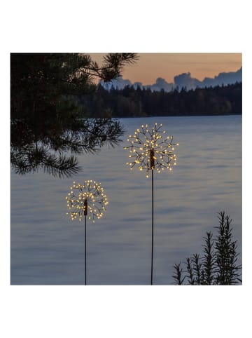 STAR Trading LED-Solar-Gartenstecker "Firework" in Schwarz - (H)85 cm