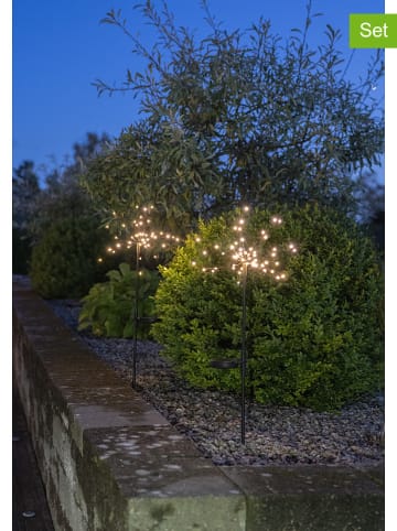 STAR Trading 2er-Set: LED-Solar-Gartenstecker "Firework" in Schwarz - (H)60 cm
