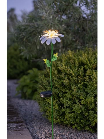 STAR Trading LED-Solar-Gartenstecker in Grün/ Weiß