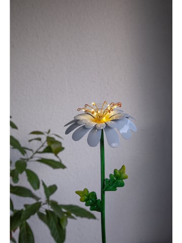 STAR Trading Ledsolartuinstekers "Daisy" groen/wit - (H)77 cm
