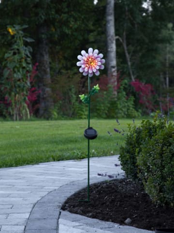 STAR Trading Ledsolartuinsteker "Pink Daisy" meerkleurig - (B)15 x (H)81 x (D)12 cm