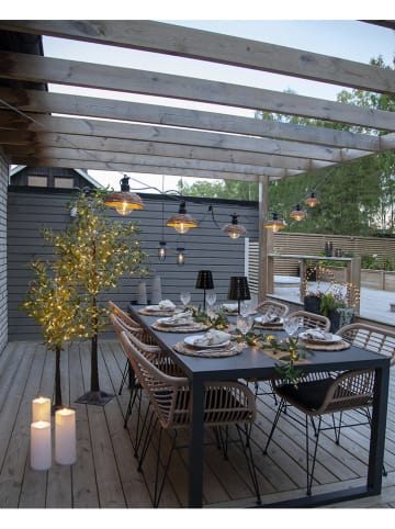 STAR Trading LED-Solar-Dekoleuchte "Cage" in Schwarz - (H)21 x Ø 18 cm