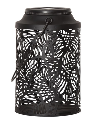 STAR Trading LED-Solar-Laterne "Leafy" in Schwarz - (H)17 x Ø 11,5 cm