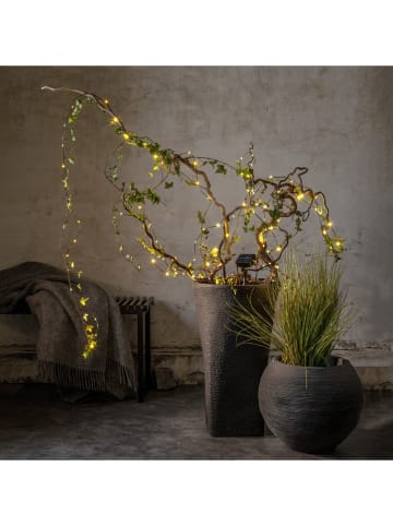 STAR Trading Ledsolarlichtketting "Dew Drop Micro" zwart - (L)7,4 m