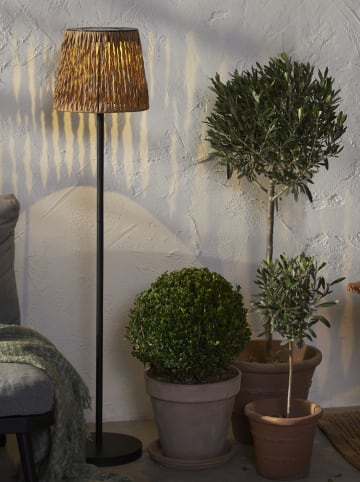 STAR Trading LED-Solar-Standleuchte "Cesta" in Hellbraun - (H)102 x Ø 28 cm