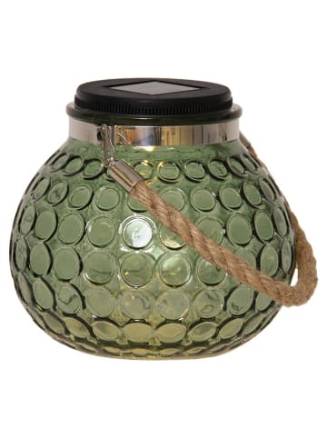 STAR Trading Solarny lampion LED "Dotte" w kolorze zielonym - 15 x 13,5 cm