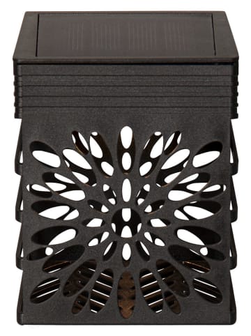 STAR Trading 2er-Set: LED-Solar-Wandleuchte "Izola Wall" in Schwarz - (B)7,5 x (H)10 cm