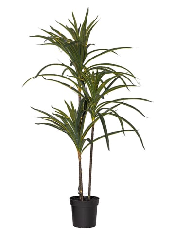 STAR Trading LED-Dekoleuchte "Bali" in Grün - (H)90 x Ø 55 cm