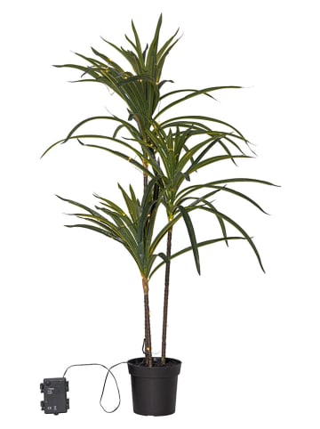 STAR Trading LED-Dekoleuchte "Bali" in Grün - (H)90 x Ø 55 cm