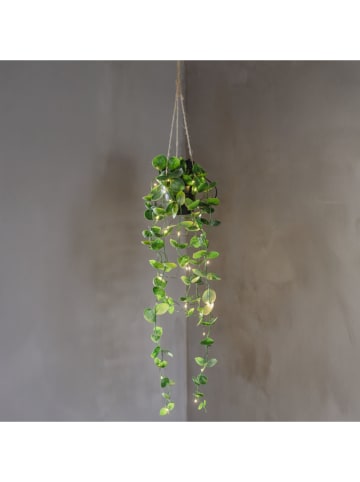 STAR Trading LED-Dekoleuchte "Laos'' in Grün - (H)65 x Ø 10 cm