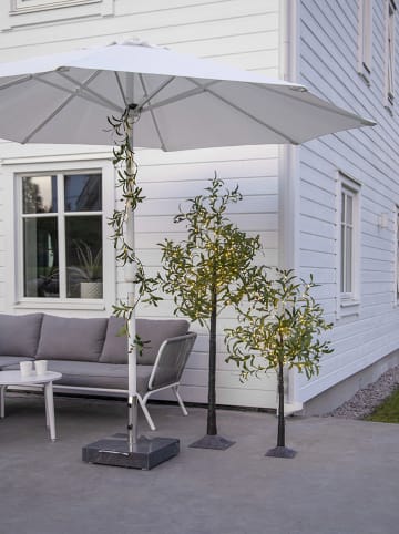 STAR Trading LED-Bäumchen "Olivec" in Grün - (L)120 cm