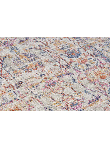 Nouristan Indoor-/outdoortapijt "Cairo" meerkleurig