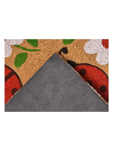 Hanse Home Wycieraczka w kolorze jasnobrązowo-czerwonym z włókna kokosowego