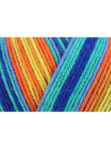 Schachenmayr since 1822 20er-Set: Kunstfasergarne ''Bravo Color'' in Bunt - 20x 50 g