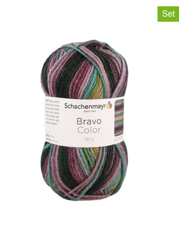 Schachenmayr since 1822 20-delige set: synthetische garen "Bravo Color" meerkleurig - 20x 50 g