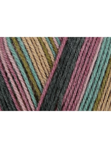 Schachenmayr since 1822 20-delige set: synthetische garen "Bravo Color" meerkleurig - 20x 50 g