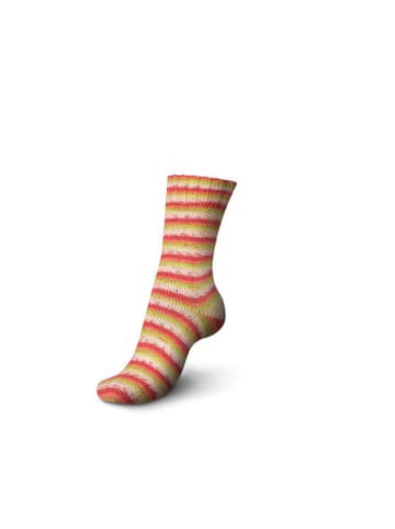 Regia 5-delige set: katoenen mixgaren "Cotton Color" meerkleurig - 5x 100 g