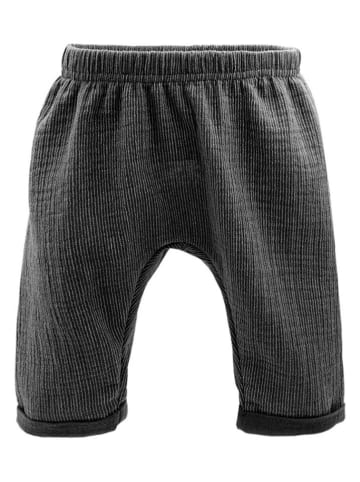 MaxiMo Hose in Anthrazit