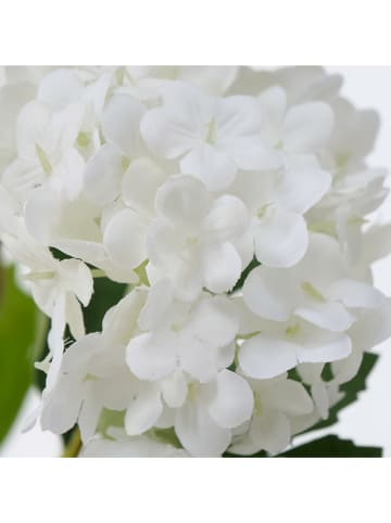 Boltze Dekoracyjny kwiat "Hortensie" w kolorze biało-zielonym - dł. 100 cm