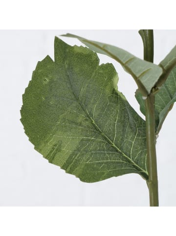 Boltze Sztuczny kwiat "Snowball" w kolorze biało-zielonym - wys. 76 cm