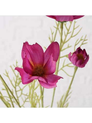 Boltze Dekoracyjny kwiat "Cosmea" w kolorze fioletowo-zielonym - wys. 10 cm