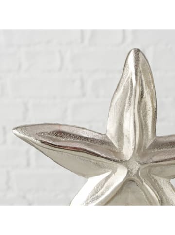 Boltze Dekoaufsteller ''Zeester'' in Beige/ Silber - (B)18 x (H)26 x (T)5 cm