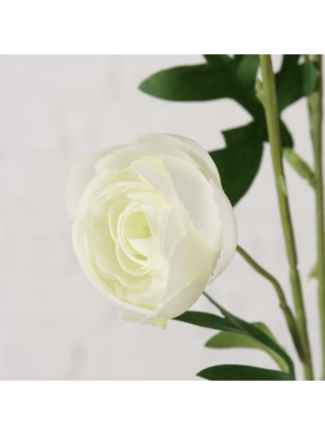 Boltze Kunstblume "Ranunkel" in Creme/ Grün - (H)53 cm