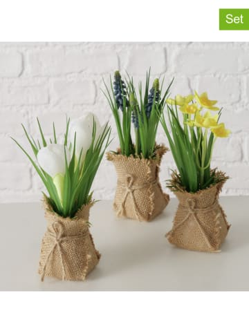 Boltze Sztuczne rośliny (3 szt.) w kolorze jasnobrązowo-zielonym - wys. 19 cm