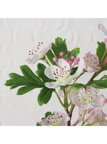 Boltze Dekozweig ''Weißdorne (Crataegus)'' in Grün/ Rosa - (L)79 cm