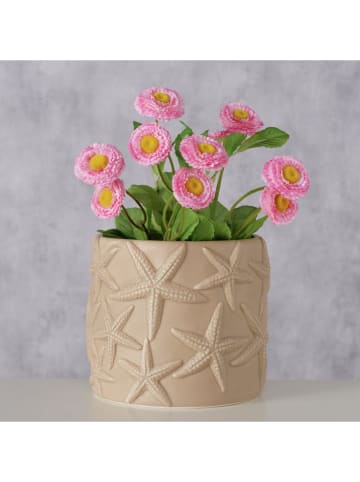 Boltze Übertopf ''Shana'' in Beige - (H)14 x Ø 16 cm