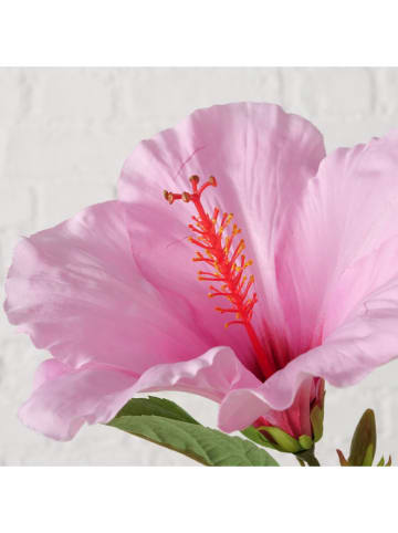 Boltze Gałązka dekoracyjna "Hibiscus" w kolorze zielono-różowym - dł. 64 cm