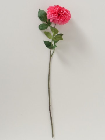 Boltze Sztuczny kwiat "Dahlia" w kolorze różowo-zielonym - wys. 75 cm
