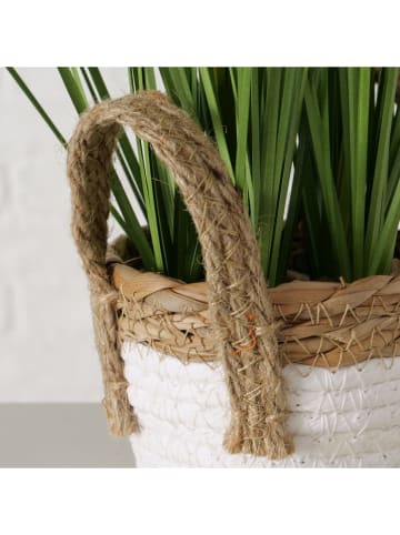 Boltze Kunstpflanze in Grün/ Weiß/ Beige - (H)49 x Ø 22 cm