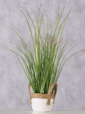 Boltze Kunstpflanze in Grün/ Weiß/ Beige - (H)49 x Ø 22 cm