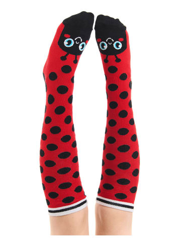 Denokids Podkolanówki "Ladybug" w kolorze czerwonym