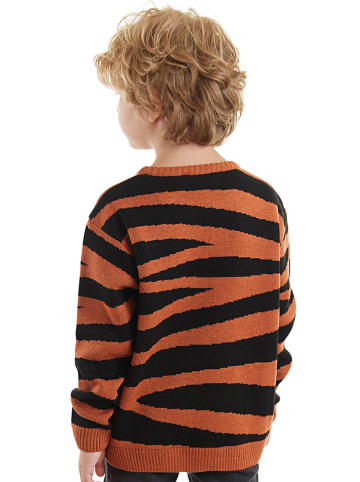 Denokids Pullover "Tiger" in Hellbraun