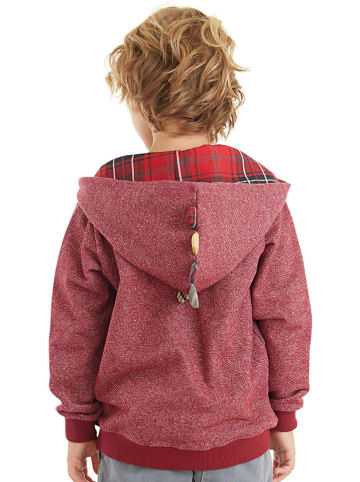 Denokids Sweatvest "Dragon" rood