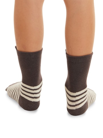 Denokids 2er-Set: Socken "Bear & Raccoon" in Braun