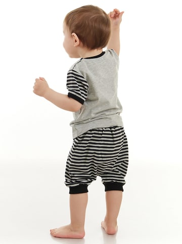 Denokids 2-delige outfit "Racoon" grijs