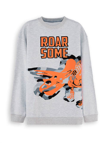 Denokids Sweatshirt grijs