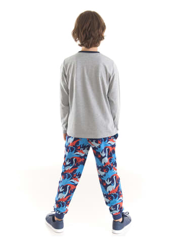 Denokids 2-delige outfit "T-rex Info" grijs/blauw