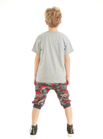 Denokids 2tlg. Outfit "Triceratops" in Grau/ Bunt