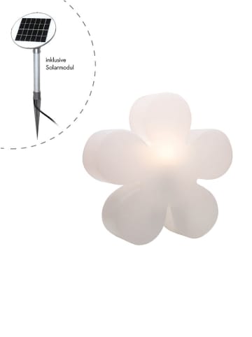 8 seasons Solar-Leuchte "Shining Flower" in Weiß - (H)55 x Ø 60 cm