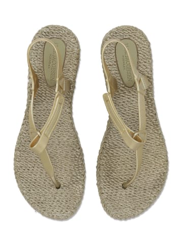 Ilse Jacobsen Zehensandalen in Beige/ Gold
