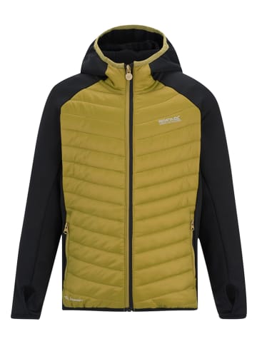 Regatta Hybridjacke "Andreson" in Gelb